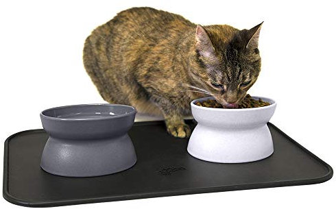 Kitty City Colección de Cuencos elevados para Comida para Gatos/comedero para Mascotas sin estrés y Cuencos de alimentación Lenta