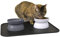 Kitty City Raised Cat Food Bowl Collection/Stress Free Pet Feeder and Waterer and Slow Feed Bowls