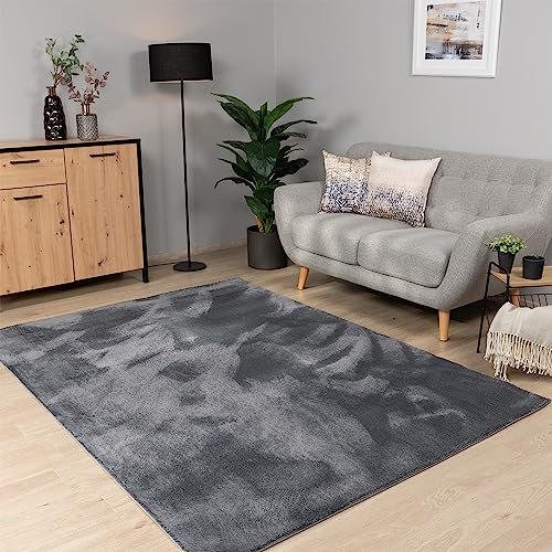 Paco Home Tappeto Salotto Moderno Soggiorno Pelo Corto Lavabile in Lavatrice Monocolore Tappeto Morbido, Dimensione:240x340 cm, Colore:Antracite