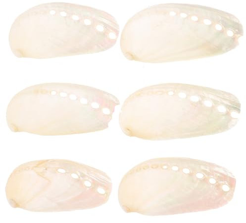 SEWOART Werten Sie Ihre Natürlichen Abalone-Muscheln Auf – Küstendekor Für Die Hochzeitstafel