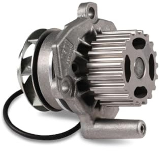 Hepu P655 Wasserpumpe