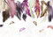 wandmotiv24 Fototapete bunte Federn rosa violett, XS 150 x 105cm - 3 Teile, Wanddeko, Wandbild, Wandtapete, Feder lila braun weiß M6634