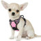 Eagloo Hundegeschirr Kleine Hunde, Anti Zug Hundegeschirr mit Reflexstreifen und Kontrolle, Verstellbar, Einstellbar und Langlebige Brustgeschirr Hund, Geeignet zum Gehen und Joggen, Rosa, XS