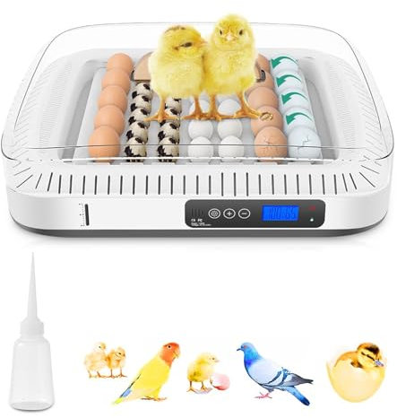Garsent 35-Eier-Inkubator für Bruteier, Kleiner Geflügel-Enten-Wachteleier-Inkubator, mit Digitalanzeige, Temperaturregelung, Feuchtigkeitsregulierung und Eierwendefunktion (EU-Stecker