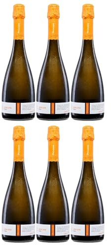 Paladin Paladin Moscato Dolce Vino Spumante Lieblich Spumante Vegan Italien inkl. FeinWert E-Book (6 x 0,75 l)
