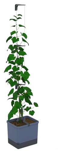 GUSTA GARDEN Curt Cucumber - Selbstbewässernder Gurkentopf mit Ranksystem, 20L Erdvolumen & 4,5L Wassertank, Rankhilfe, Gurken, UV-Stabil, Made in EU (blau)