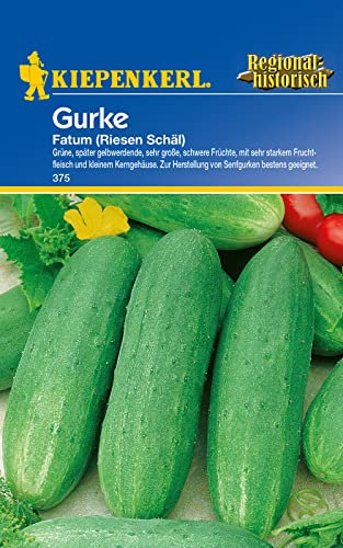 Schälgurken Fatum Riesen Schäl