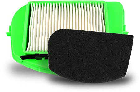 MisterVac | compatibile con Filtro di ricambio filtro Rowenta RO5342EA,Type VC61PEO