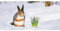 Postkarte PANORAMA +++ GEO von modern times +++ EICHHÖRNCHEN IM WINTER * XXL +++ BK.EDITION GEO © nataba/stock.adobe.com