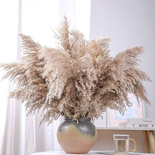 Roollya 20 pezzi 71 cm di altezza naturale erba della pampa Decor - Erba di canna in colori primari naturali decorazione 40 punte di fiori erba alta canna per vaso da pavimento Boho Decor Home Decor