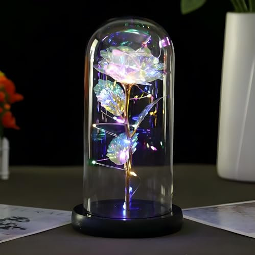 Perfect Valentines Day Rose Gifts for Her/Birthday Gift for Women/Valentine Rose Flower Light/Glass Dome/Colorful Artificial Preserved Flowers/Gifts for Mum Wife Anniversary/Eternal