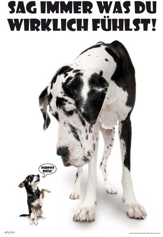 Hunde - Poster - Sag immer was du denkst + Ü-Poster