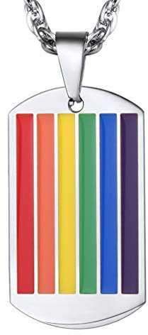 PROSTEEL Edelstahl Homosexuell Regenbogen Anhänger Gay & Lesbian Pride LGBT Dog Tag mit Halskette 60cm Kettelänge für Herren Damen Unisex(Silber)