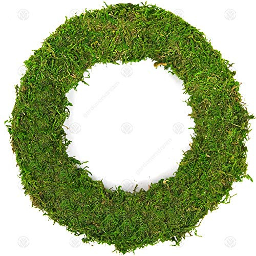 GardenersDream Padded Moss Effect Rings - Bases and Frames for Wreath Making, Christmas Decorations, Funeral and Grave Arrangements (50, 10 (25cm))