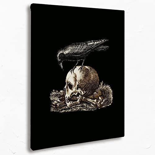 299MK-1PR-Skull Poster und Drucke