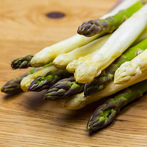 Asparagus Vittorio Crowns Bare Root Perennial Outdoor Garden Salad Vegetable (10 Crowns)