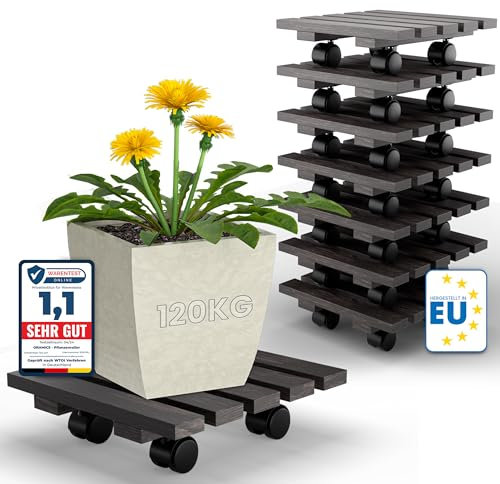 Oramics 8 Stück Pflanzenroller Eckig aus Massivholz in Schwarz – 30 x 30 x 8 cm bis 120 KG belastbar – Rollbrett für Pflanzen, Blumentöpfe und Blumenkübel – Blumentopf Untersetzer mit 4 Rollen