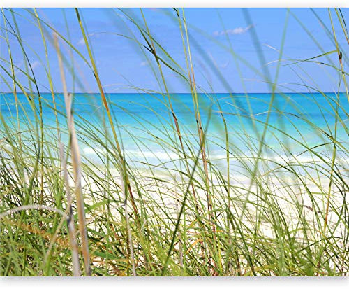 Fototapete - Tapete Meer 450x270cm - Foto Tapete Schlafzimmer Wohnzimmer Moderne Vliestapete XXL Wandtapete Motivtapeten Bildtapete 3d Effekt Wand Dekoration - Düne Landschaft Strand Gras Natur Himmel