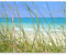 Fototapete - Tapete Meer 450x270cm - Foto Tapete Schlafzimmer Wohnzimmer Moderne Vliestapete XXL Wandtapete Motivtapeten Bildtapete 3d Effekt Wand Dekoration - Düne Landschaft Strand Gras Natur Himmel