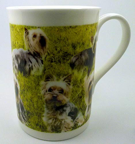 The Plate Collectors Shop Yorkshire Terrier Collage Mug FINE Bone China 10 0Z Mug ~ Hand Decorated in Stoke ON Trent