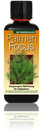 Palm Focus Fertiliser 300ml Liquid Fertilizer Concentrate Pot Palm Tree Palm Tree Fertilizer Plant Food