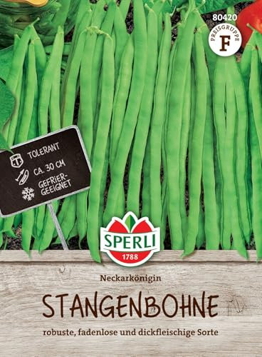 Sperli Stangenbohnensamen Neckarkönigin 80420 - Robuste, fadenlose und dickfleischige Sorte - Inhalt für 18 bis 24 Stangen - Gemüsesamen, Saatgut