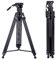 Cayer Pro Video Tripod 74 Inches with Fluid Head, Compatible with DJI RS Gimbals Manfrotto, Flexible 360° Pan&+90°/-75° Tilt with Adjustable Damping Max Load 18lb/8kg, BF310