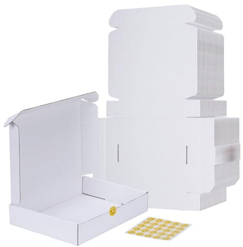 RLAVBL 25 Stück Doppelseitig Weiß Versandkartons, Maße: 28 x 20,4 x 5,1 cm, einfach zu montieren, Ideal für Kleine Unternehmen