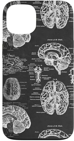 Hülle für iPhone 13 Brain Anatomy Vintage Medical Diagramme