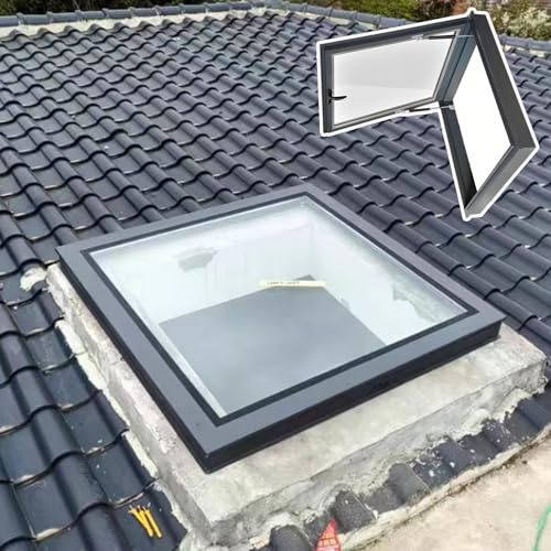 Claraboya para Techo Ventana de pozo luz techo y ventana tragaluz manual, casa, for puerta sótano con natural(65x50cm/25.6x19.7in)