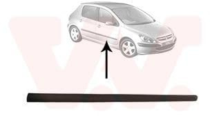 VAN WEZEL 4040404 Baguette et bande protectrice porte avant droite noir Compatible avec PEUGEOT 307 3/5 portes 3A/C 307 SW 3H 307 Break 3E 307 SW Van/Break 3E, 3H