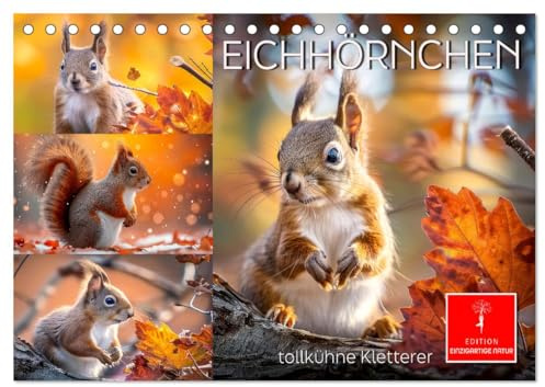 Eichhörnchen - tollkühne Kletterer (Tischkalender 2026 DIN A5 quer), CALVENDO Monatskalender: Putzige Nager - von den Menschen geliebt (CALVENDO Tiere)