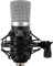Pronomic CM-22 Studio Großmembranmikrofon XLR-Kondensatormikrofon (mit Mikrofonspinne, Etui, Windschutz, Reduziergewinde und Transportkoffer) schwarz