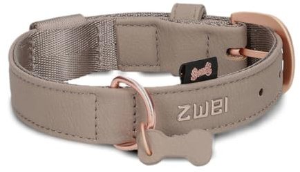 ZWEI Hundehalsband Leo LE10 aus hochwertigem Kunstleder, Elegantes Halsband verstellbar für kleine & mittelgroße Hunde mit Halsumfang von 28-38 cm, viele Farben