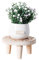 Obelunrp Supporto per piante in legno, riser per piante rotonde da 6,3x3,2 pollici, sgabello decorativo a pianta piccola, scaffale di fiori per piante da esterno interno