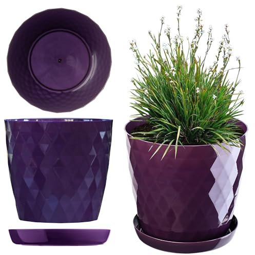 KADAX Pot de Fleurs 20 cm – en Plastique avec Soucoupe Intégrée, Pot de Plante pour Une Décoration Florale Moderne dans l'espace Intérieur (Violet)