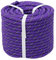 YUZENET Braided Polyester Arborist Rigging Rope (3/8 inch X 100 feet) High Strength Outdoor Rope for Rock Climbing Hiking Camping Swing, Purple