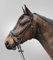 STAR Trensenzaum Diamond ENGL.Komb., schwarz, Pony