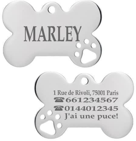 Iberiagifts - Plaque d'identification en forme d’os en Acier avec pattes Personnalisé gravée Pour animaux de compagnie moyens à grands. (1 Patte), Grand