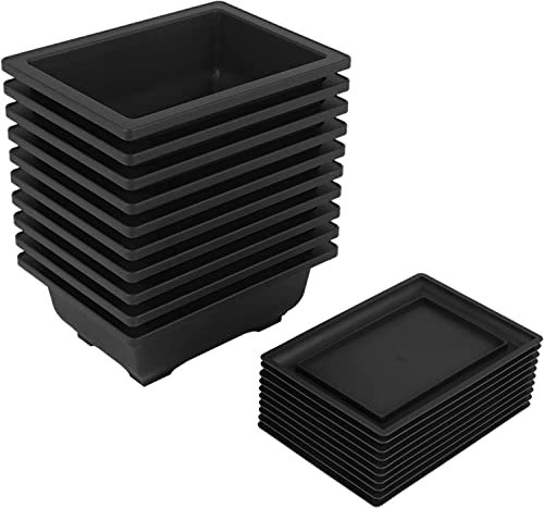 Falygda Lot de 10 paquets de pots d'entraînement bonsaï avec plateau en plastique pour plantes de bonsaï pour jardin, , chambre balcon, 16,5 x 12 cm
