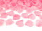 100 petales de rose - Rose