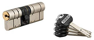 THIRARD - Cylindre de Serrure Double Entrée Federal 2 - Nickelé - Haute Sécurité - Anti-Arrachement, Anti-Perçage, Anti-Crochetage, Anti-Casse - 37 x 45 mm - Gris - 5 Clés Réversibles