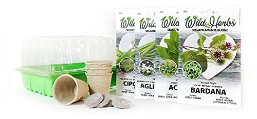 KIT Erbe Selvatiche con Semi | Jiffy | Vasi | Serra Germinazione