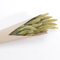 Setaria Trockenblumen Strauß 100g 74 cm Wohn-Deko Schilfgras Tisch-Deko Herbst Blumenstrauß dekorativ Geburtstag Hochzeit Wohnaccessoire (Natürliches Grün)