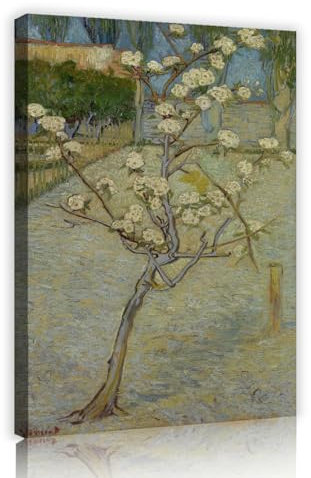 OSHIONARTE Dutch Art style Leinwand Kunstdruck und Poster Kleiner Birnbaum in Blüte Gartenbaum Postimpressionismus Kunstwerk für Schlafzimmer Bibliothek Dekor 45x30cm