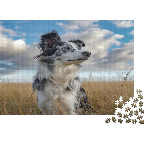 Australischer Schäferhund 1000 Stück Puzzles Für Erwachsene Teenager Stress Abbauen Familien-Puzzlespiel 1000-teiliges Puzzle Kinder Lernspiel Spielzeug Geschenk Puzzel 1000pcs (75x50cm)