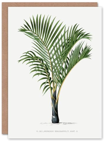 Artery8 Oswald de Kerchove Art Card Hyophorbe Verschaffelti Palm Tree