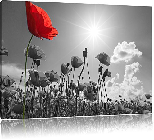 Pixxprint wunderschönes Mohnblumenfeld im Sommer B&W, Größe: 80x60cm, Leinwandbild, fertig gespannt, Wandbild, Dekoration, Kunstdruck, kein Poster