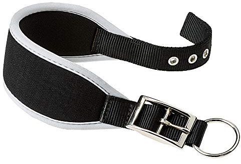 Ferplast Hundehalsband ERGOCOMFORT, Windhundhalsband, weiche Polsterung, Silber