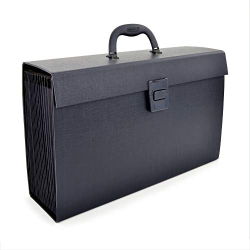 Rapesco 1555 Trieur Valisette avec 19 Compartiments, A4+, Noir
